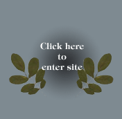 Enter site