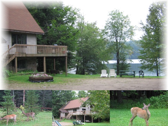 Chalet - style house and cottage are situated on 200 ft. of shoreline on beautiful 6th. Lake