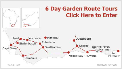 6 Day 5 Night Garden Route Tours from Cape Town