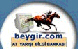 Beygir.com