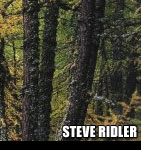Steve Ridler