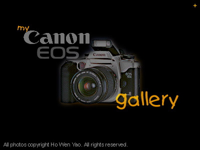My Canon EOS gallery - equpment