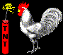 chicken.gif (16.734 bytes)