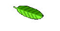 D-Boxen
