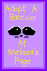 Adopt A Racoon At Melissa's Page
