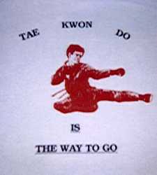 Tae Kwon Do shirt:     
TAE KWON DO     
[pic of flying kick]    
IS     
THE WAY TO GO