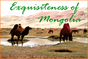 Mongolia Naadam Festival Tour 