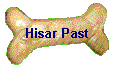 Hisar Past