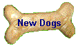 New Dogs