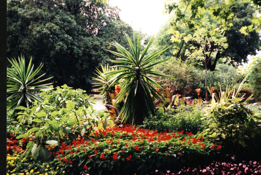 The Prater Gardens in Vienna