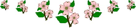 Large Pink Dogwood Flower Border