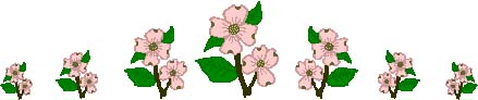 Large Pink Dogwood Flower Border