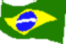 Brazilian's Flag
