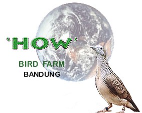 Sekilas Tentang HOW Bird Farm