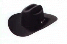 A Wyatt Hat
