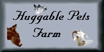 Huggable Pets Farm