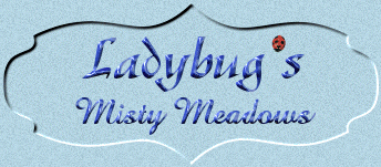 Ladybug's Misty Meadows