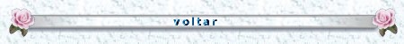 Voltar Homepage