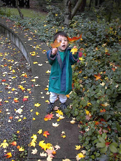 Look Papa, I'm leaf juggling!