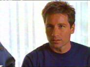 Stealing from Bree Sharp, David Duchovny why won't you love ME?!