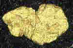 Photo-Micrograph of Gold Flake 