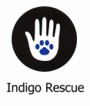 Indigo Rescue Logo