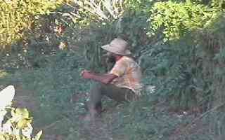 Cuban farmer