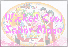 Wicked Cool Sailor Moon