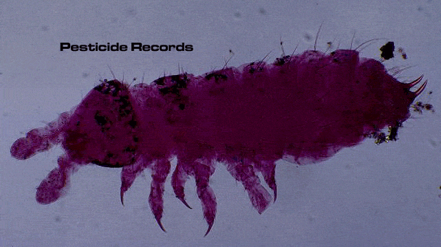 Pesticide Records