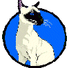 [Image:Siamese Cat. Link to Seki's Page]