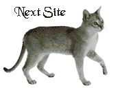 [Link to next Cat Ring site]