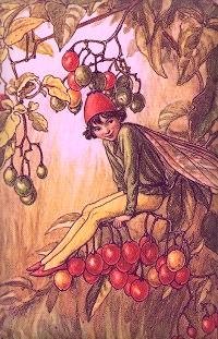 Nightshade Berry Fairy