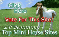 Lil Beginnings Miniature Horse & Tack Top Sites / Bowens Design