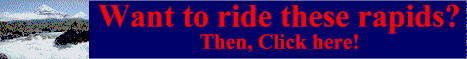 RideRapidsBanner1.gif (5377 bytes)