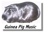 guitar guinea