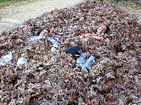 Michelle and Steph frolicking in the leaves