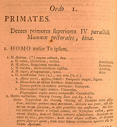 classification by Linnaeus