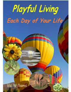 Playful Living - Each Day of Your Life