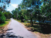 Walking / cycling path, Pipemakers Park, Maribyrnong River Maribyrnong