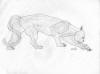 Mark Conrad - Sketch of Cougar