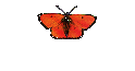 Chrysalis Board