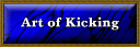 The Art of Kicking 