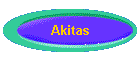Akitas