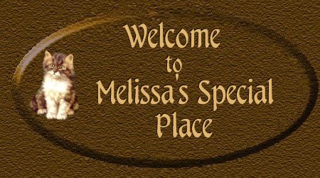 Melissa's Special Place Welcome