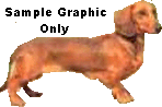 Dog Graphic