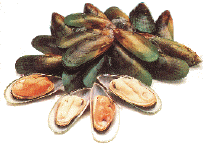Mussel Platter