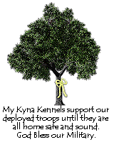 Support our Troops!