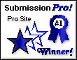 Pro submission award