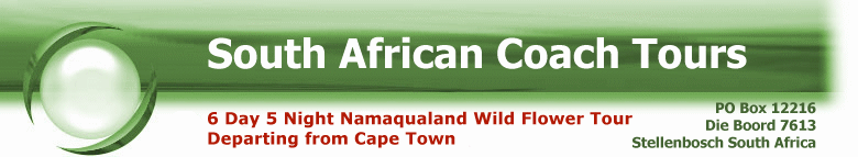 6 Day Namaqualand Flower Coach Tour
