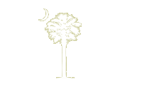 South Carolina's State Tree--The Palmetto Tree